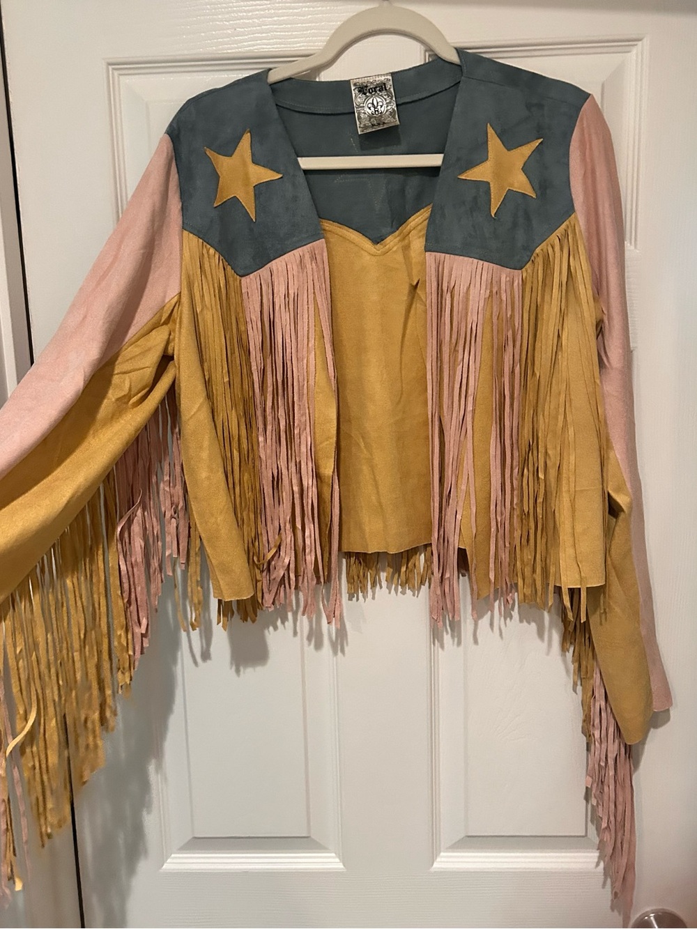 Vocal Fringe Suede Western Jacket in Mustard, Pink & Slate - Picture 2 of 3